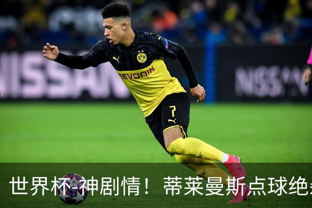 世界杯-神剧情！蒂莱曼斯点球绝杀 比利时加时3-2塞内加尔